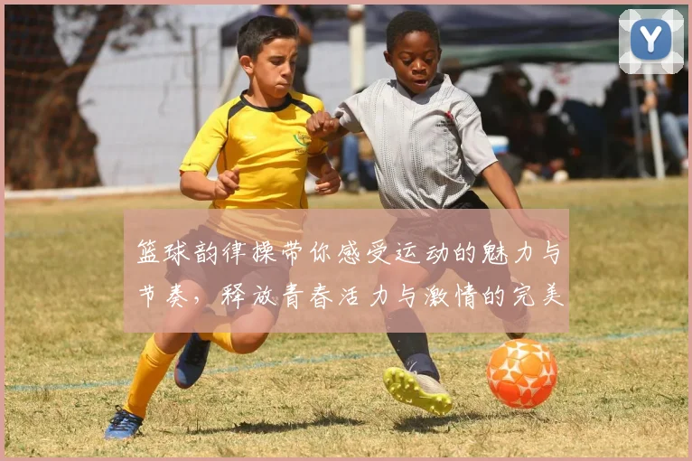 篮球韵律操带你感受运动的魅力与节奏，释放青春活力与激情的完美结合