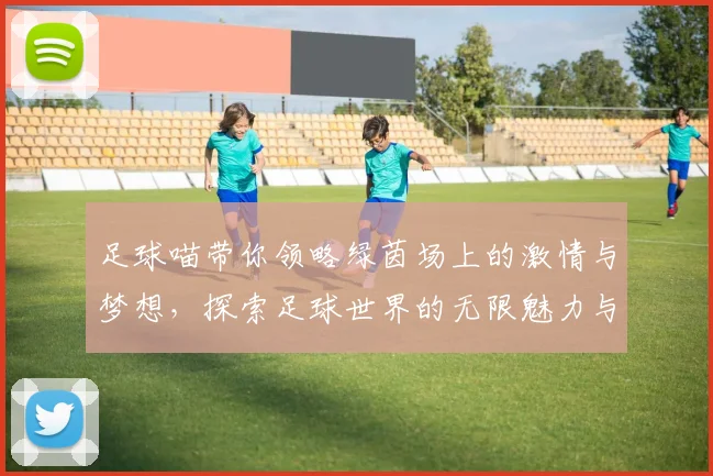 足球喵带你领略绿茵场上的激情与梦想，探索足球世界的无限魅力与乐趣