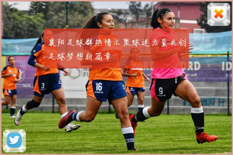 襄阳足球群热情汇聚球迷力量共创足球梦想新篇章