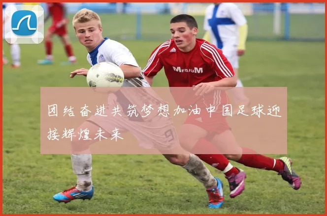 团结奋进共筑梦想加油中国足球迎接辉煌未来