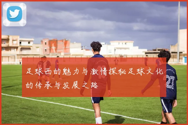 足球西的魅力与激情探秘足球文化的传承与发展之路