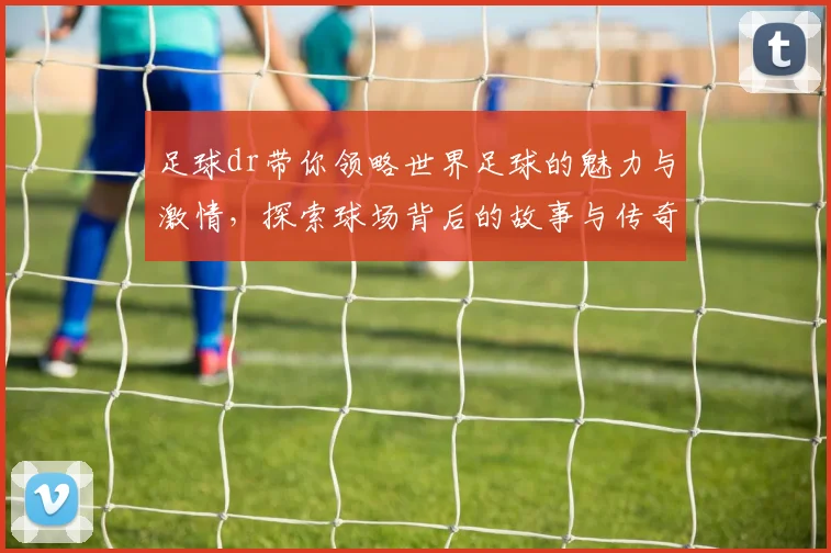 足球dr带你领略世界足球的魅力与激情，探索球场背后的故事与传奇